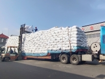 把握機(jī)遇、鉚足干勁、承勢(shì)而上