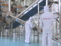 2025年的第一個(gè)月，承德亞歐果仁有限公司在山杏產(chǎn)業(yè)的道路上持續(xù)奮進(jìn)，展現(xiàn)出蓬勃的發(fā)展活力。